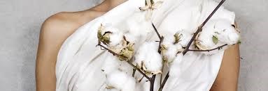 Organic Cotton: Terence Parker