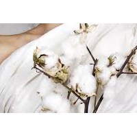 Terence Parker's Portfolio