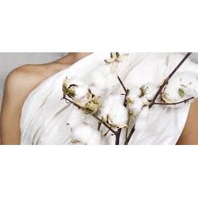 Organic Cotton: Terence Parker